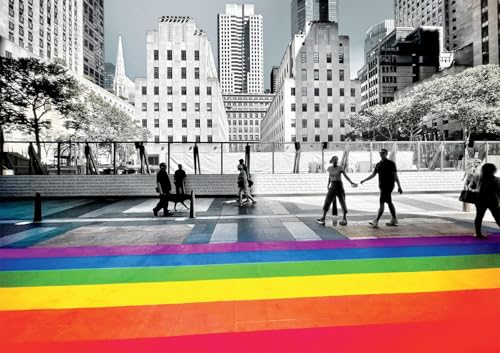 Buffalo Games Mick Mick NYC Rainbow 300 Piece Puzzle
