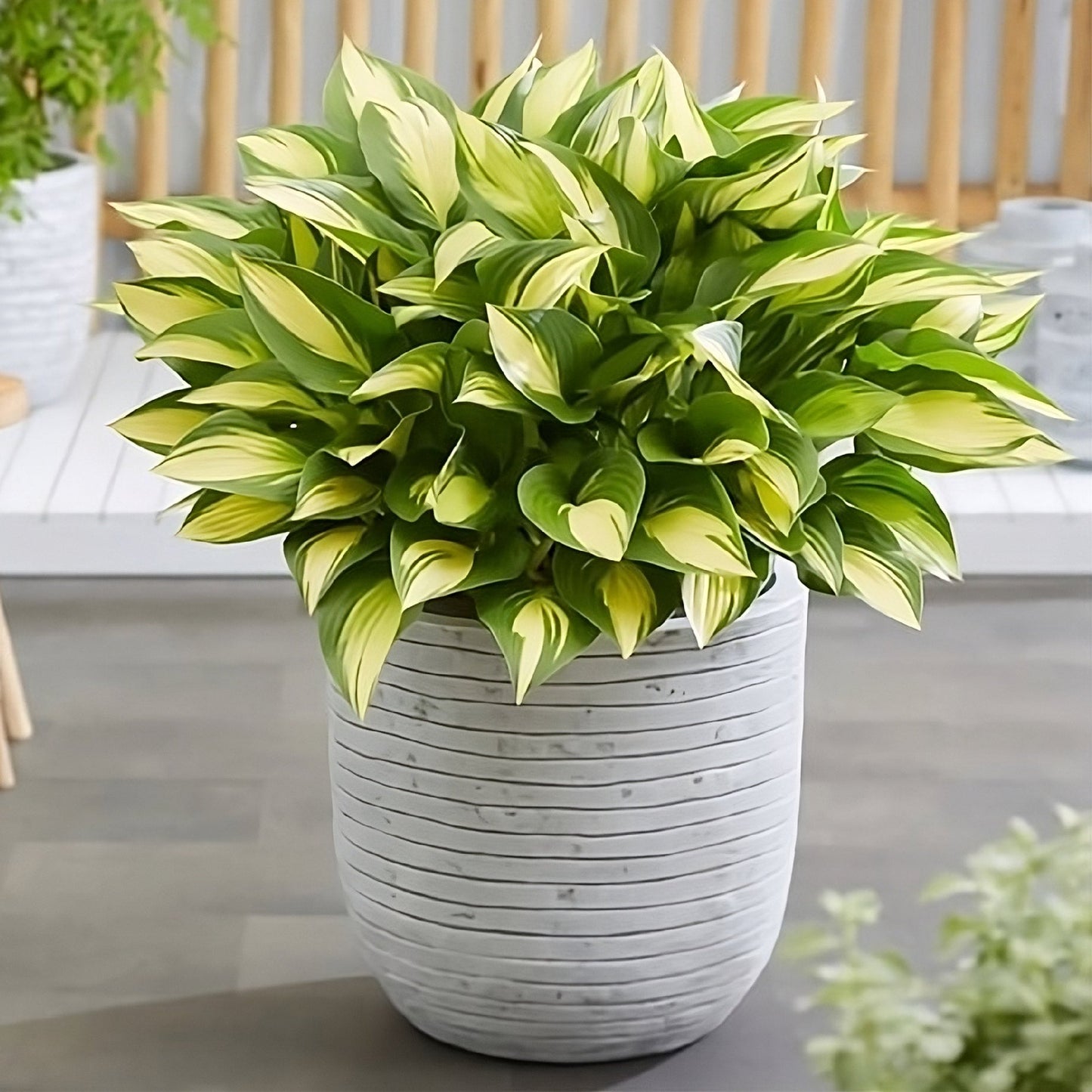 Conic Round Row NL 17" Planter with Modern Design