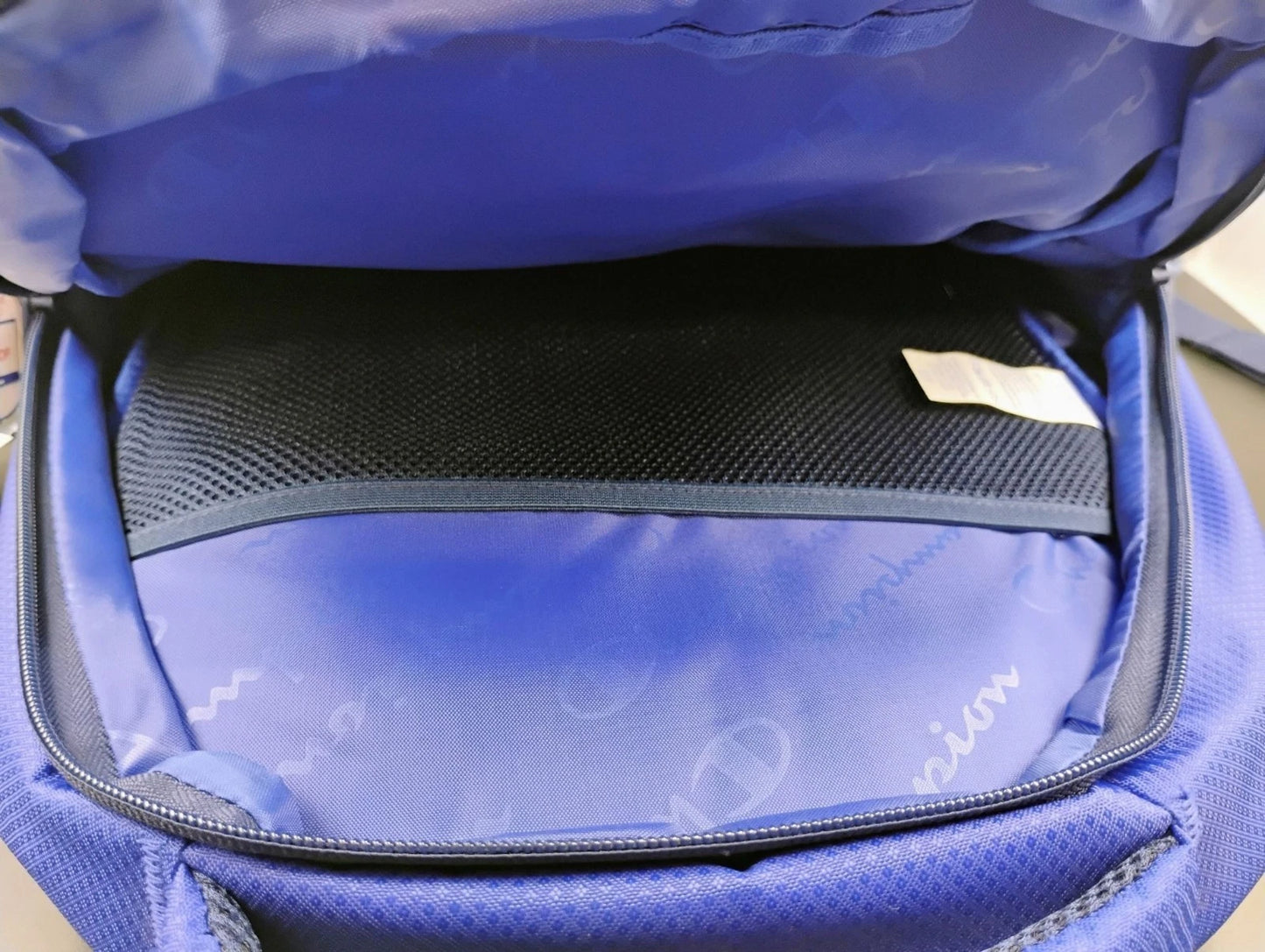 Champion Youth Blue Logo Backpack with Padded Straps