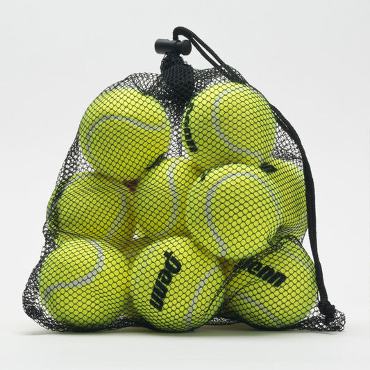 12 Penn Pressureless tennis balls in a mesh bag