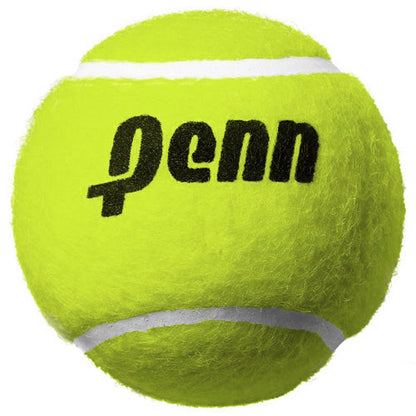 Penn Pressureless Tennis Balls Set of 12 with Mesh Bag