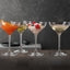 SPIEGELAU Glassware for Any Occasion