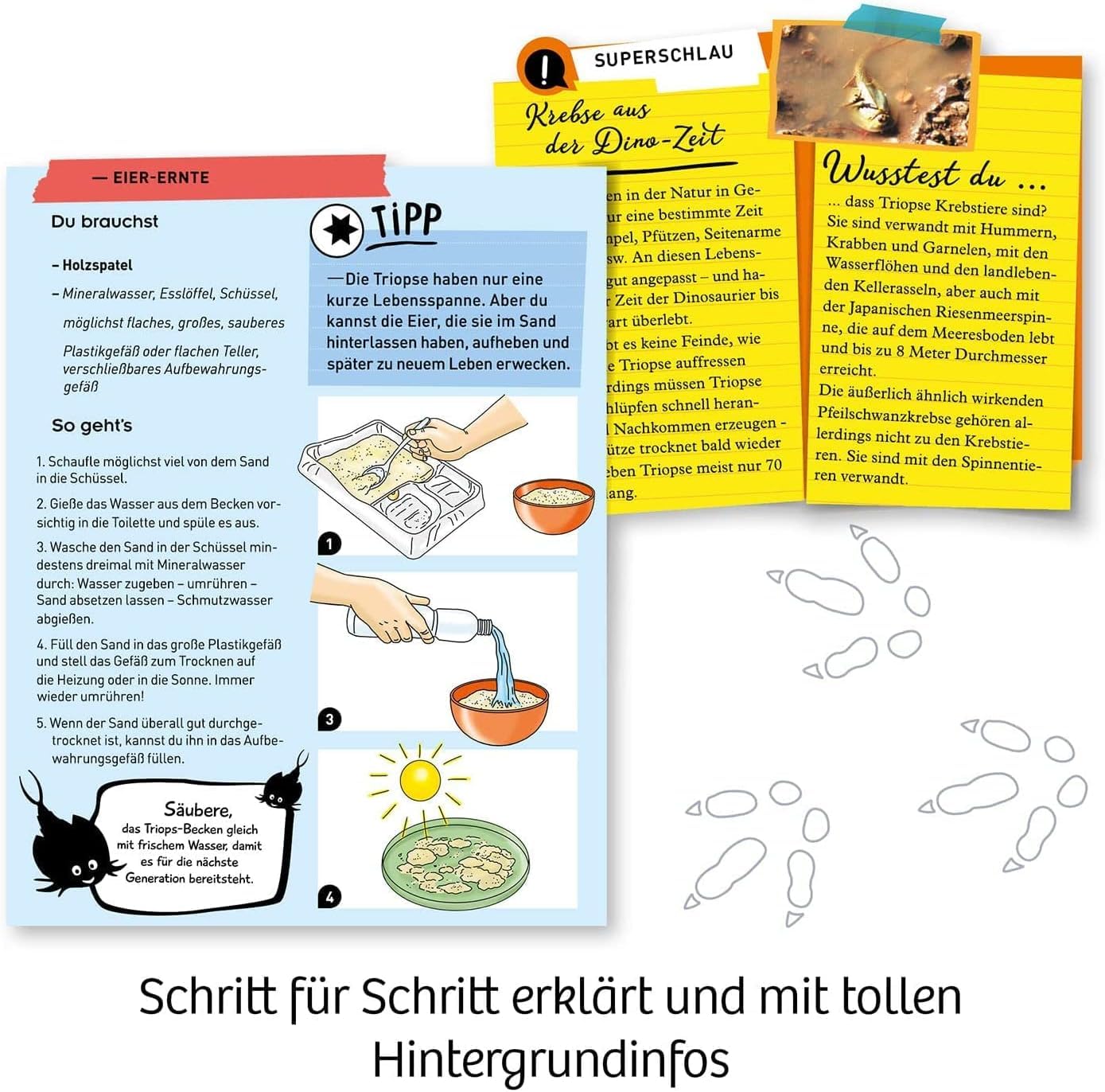 Kosmos Triops Breeding Kit: Fun Science Experiment for Kids
