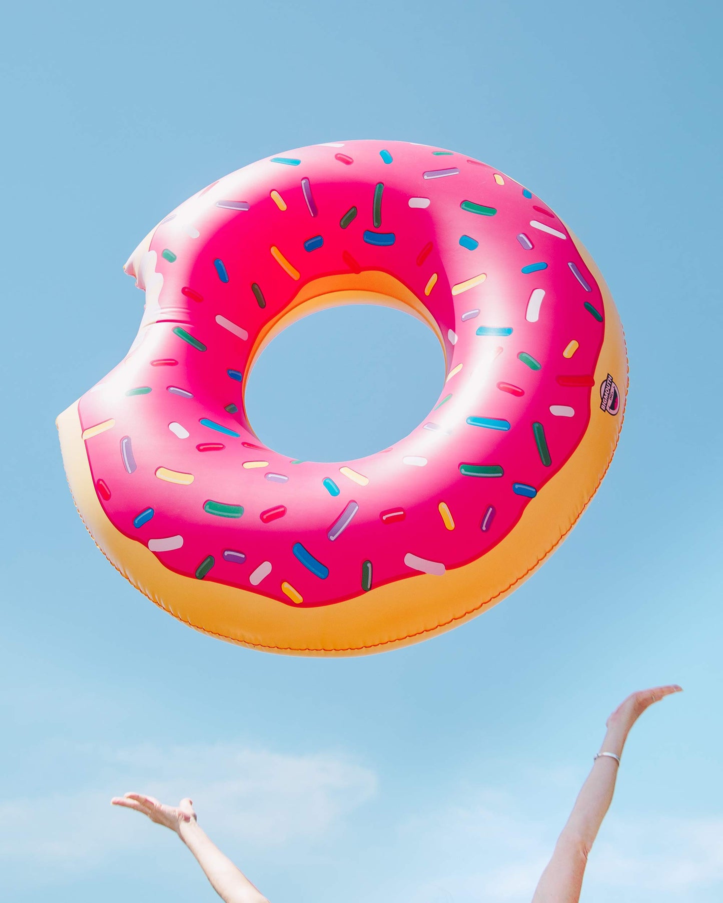BigMouth Donut Inflatable Pool Float in Multi-Colour