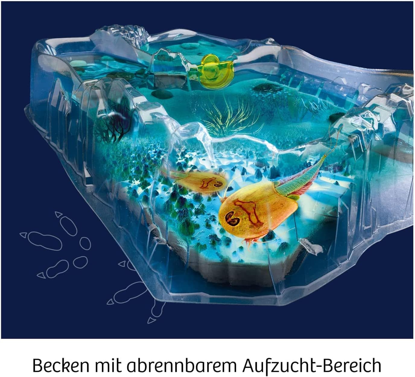 Kosmos Triops Breeding Kit: Fun Science Experiment for Kids