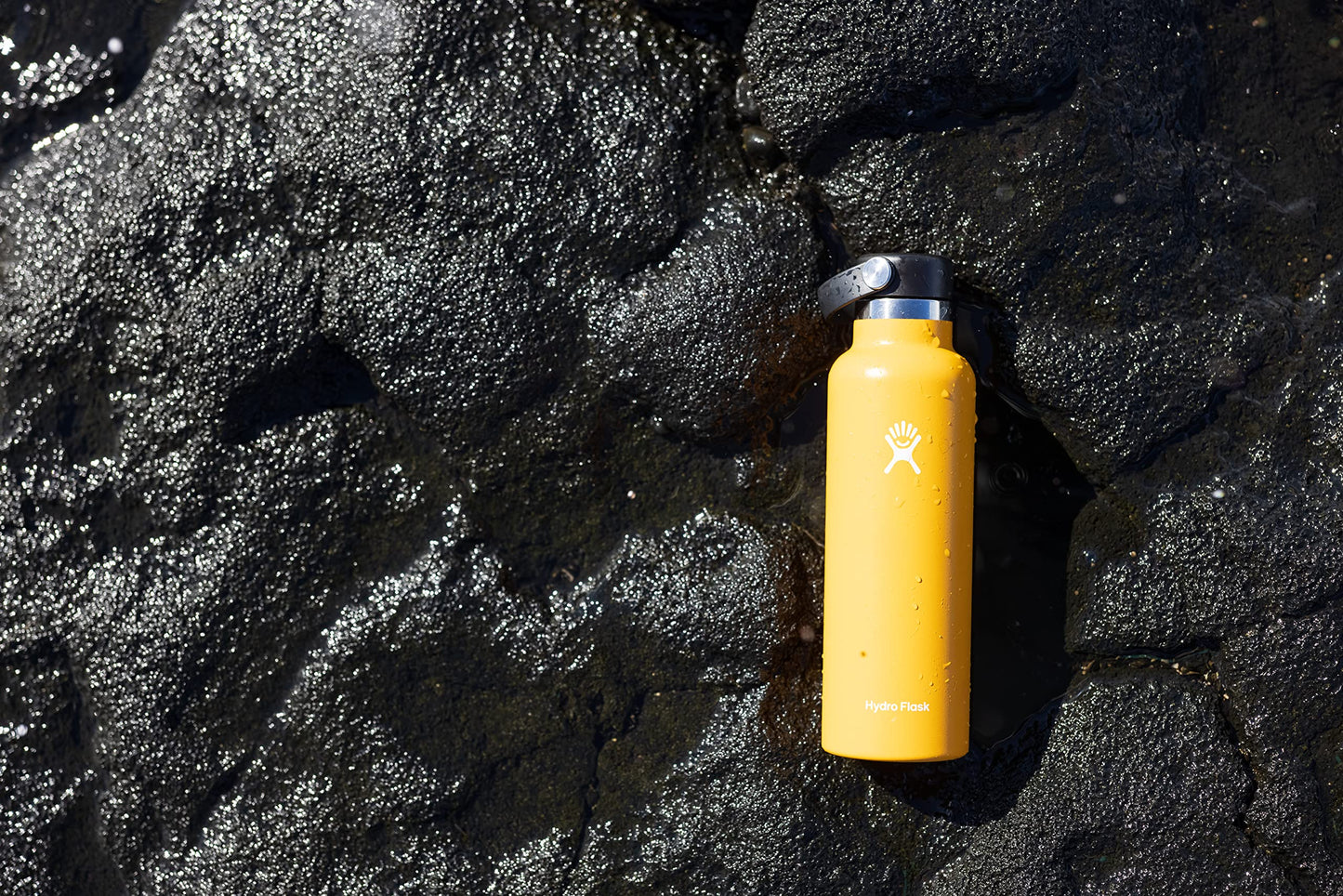 Hydro Flask 21 oz Standard Mouth Bottle with Flex Cap