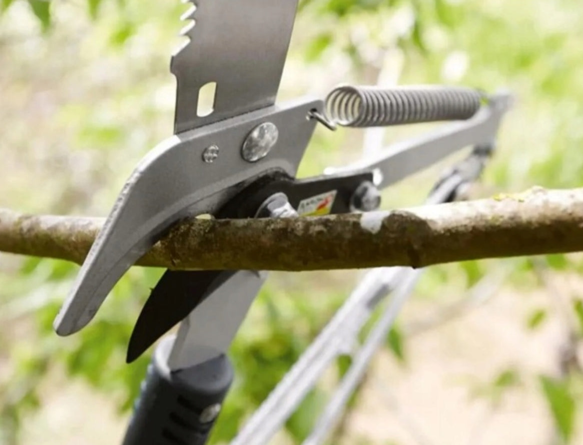 PARKSIDE Telescopic Pruning Saw for Cutting Tree Branches