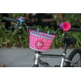 Bell Sports Raskullz Bike Basket in Pink