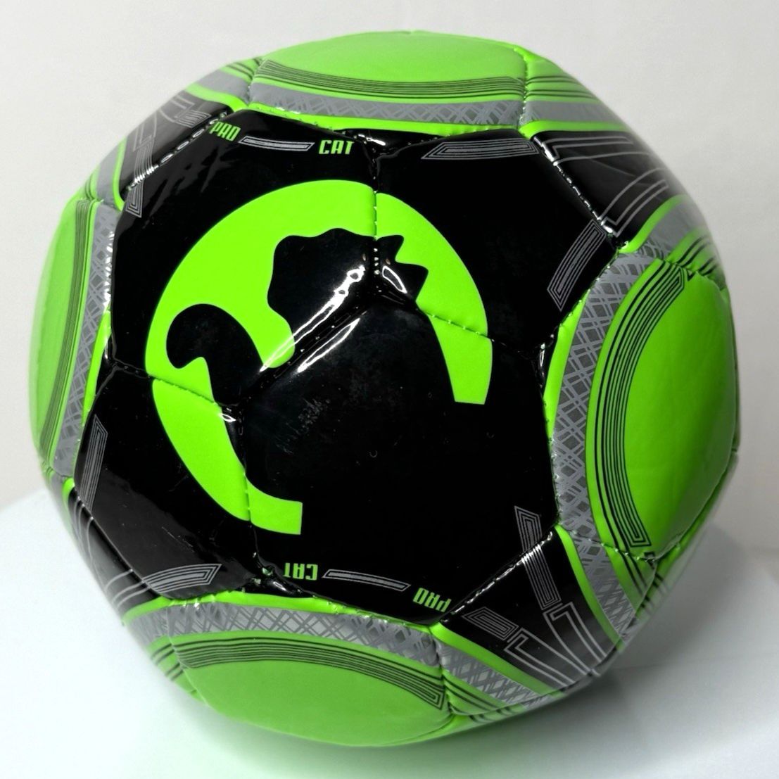 Puma ProCat Propass 2.0 Mini Soccer Ball in green color with black and silver accents