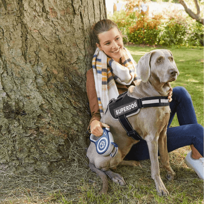 European House Hold Zoofari Retractable Dog Lead 5m