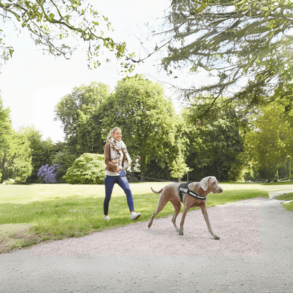 European House Hold Zoofari Retractable Dog Lead 5m